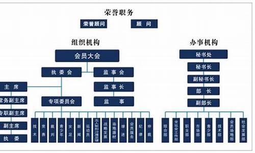 足球协会组织架构_足球协会组织机构